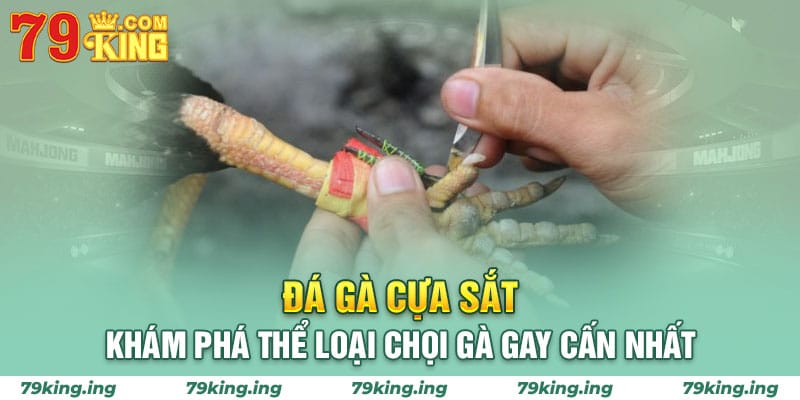 đá gà cựa sắt