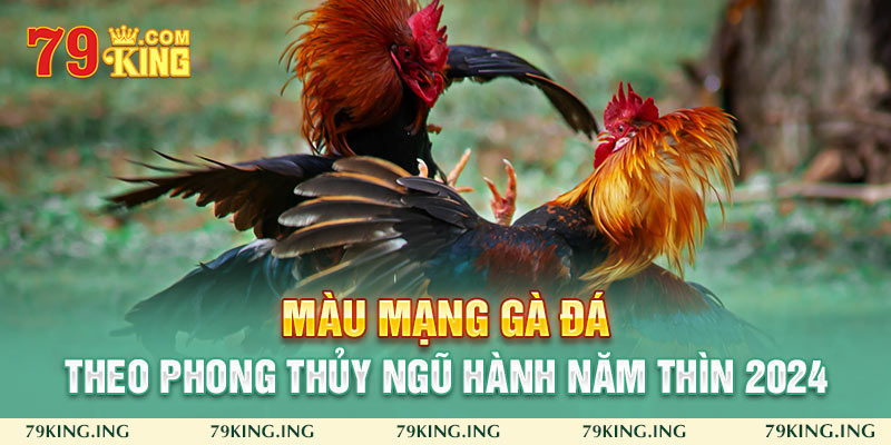 màu mạng gà đá