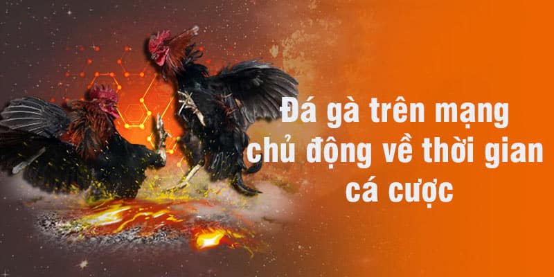 Tham gia đặt cược đá gà online sẽ có sự chủ động về thời gian 